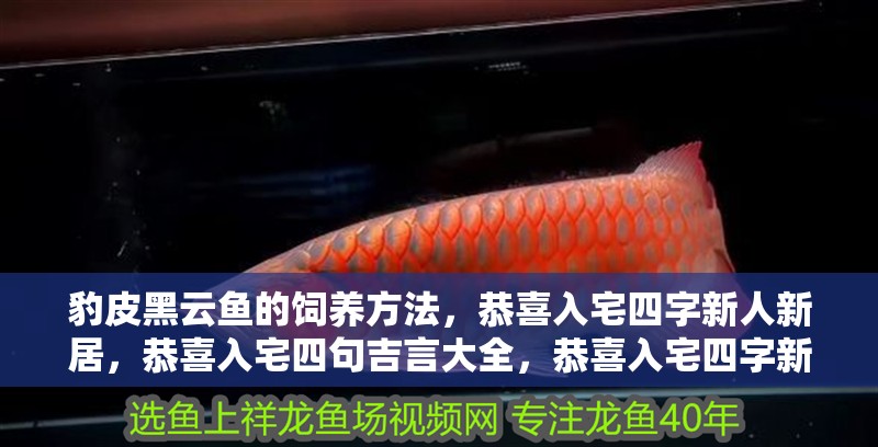 魚缸用增氧泵價格是多少:魚缸增氧機-xtrac增氧機-xtrac增氧機 豹皮黑云魚的飼養方法,恭喜入宅四字新人新居,恭喜入宅四句吉言大全,恭喜入宅四字新居 觀賞魚百科 豹皮黑云魚的飼養方法,恭喜入宅四字新人新居,恭喜入宅四句吉言大全,恭喜入宅四字新居 豹皮黑云魚的飼養方法,恭喜入宅四字新人新居,恭喜入宅四句吉言大全,恭喜入宅四字新居 觀賞魚百科