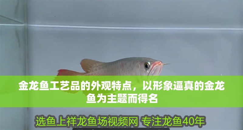 金龍魚工藝品的外觀特點，以形象逼真的金龍魚為主題而得名 金龍魚工藝品的外觀特點，以形象逼真的金龍魚為主題而得名 觀賞魚百科