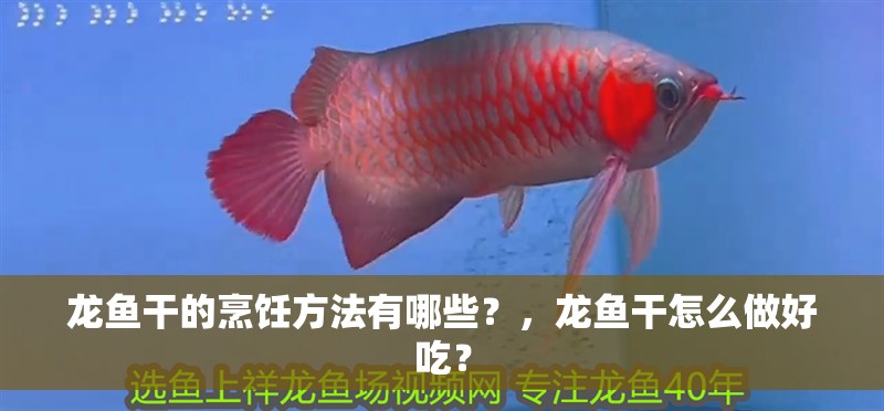 龍魚干的烹飪方法有哪些？，龍魚干怎么做好吃？ 龍魚干的烹飪方法有哪些？，龍魚干怎么做好吃？ 觀賞魚百科 第3張
