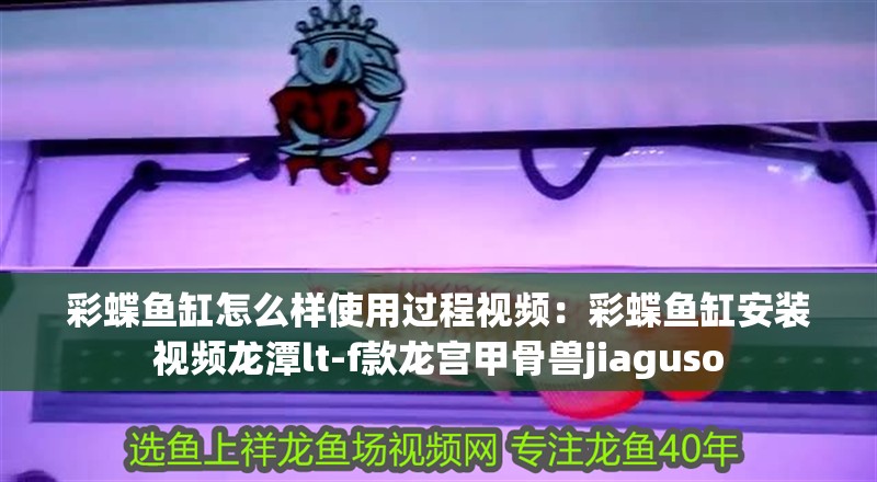 彩蝶魚缸怎么樣使用過程視頻：彩蝶魚缸安裝視頻龍潭lt-f款龍宮甲骨獸jiaguso