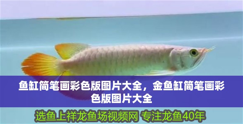 魚缸簡筆畫彩色版圖片大全，金魚缸簡筆畫彩色版圖片大全