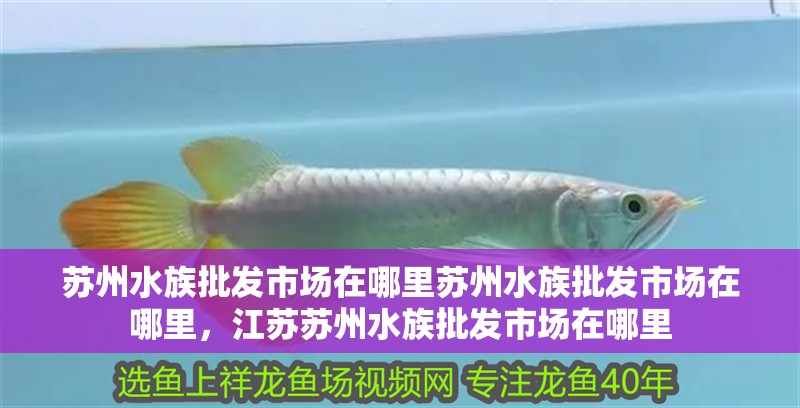 蘇州水族批發市場在哪里蘇州水族批發市場在哪里，江蘇蘇州水族批發市場在哪里