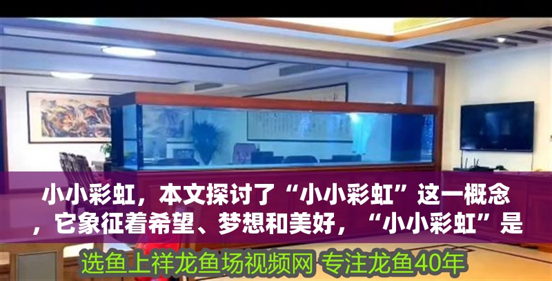 小小彩虹，本文探討了“小小彩虹”這一概念，它象征著希望、夢想和美好，“小小彩虹”是生活中不可或缺的一部分