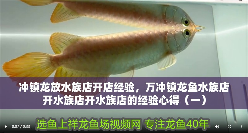 沖鎮龍放水族店開店經驗，萬沖鎮龍魚水族店開水族店開水族店的經驗心得（一）