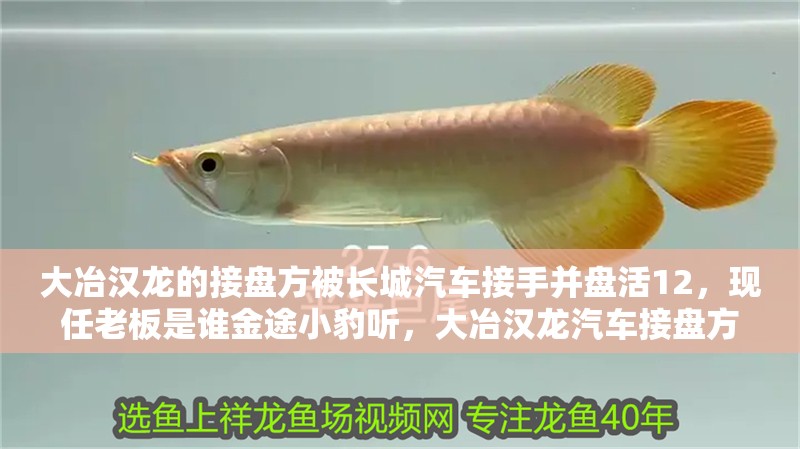 大冶漢龍的接盤方被長城汽車接手并盤活12，現任老板是誰金途小豹聽，大冶漢龍汽車接盤方已確定