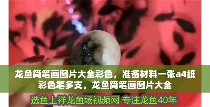 龍魚簡筆畫圖片大全彩色，準備材料一張a4紙彩色筆多支，龍魚簡筆畫圖片大全