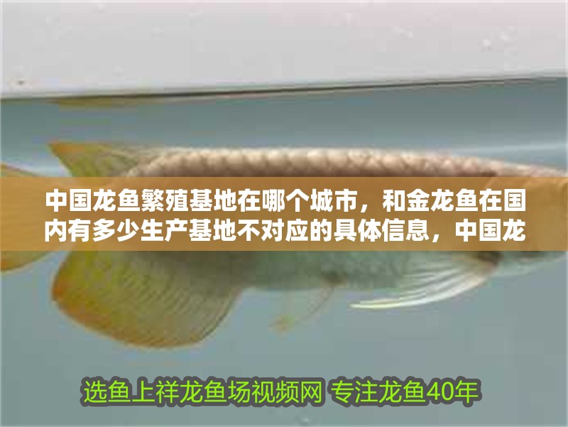 魚缸過濾器選購指南:自制魚缸過濾器魚缸上置過濾器對于養魚愛好者的必備知識 中國龍魚繁殖基地在哪個城市,和金龍魚在國內有多少生產基地不對應的具體信息,中國龍魚繁殖基地在哪個城市 觀賞魚百科 中國龍魚繁殖基地在哪個城市,和金龍魚在國內有多少生產基地不對應的具體信息,中國龍魚繁殖基地在哪個城市 中國龍魚繁殖基地在哪個城市,和金龍魚在國內有多少生產基地不對應的具體信息,中國龍魚繁殖基地在哪個城市 觀賞魚百科