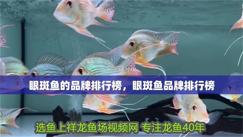 眼斑魚(yú)的品牌排行榜，眼斑魚(yú)品牌排行榜