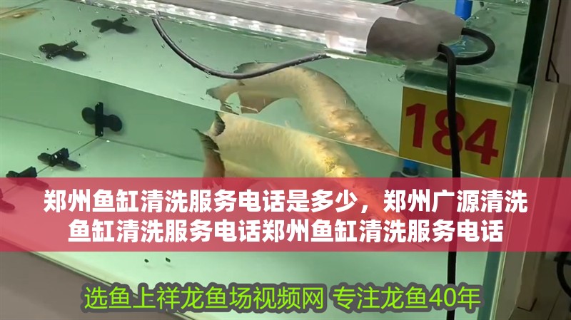 鄭州魚缸清洗服務電話是多少，鄭州廣源清洗魚缸清洗服務電話鄭州魚缸清洗服務電話
