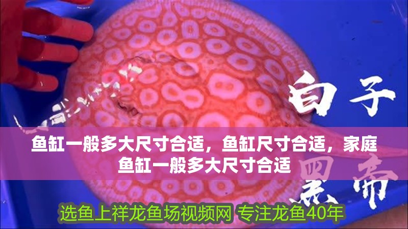 魚缸一般多大尺寸合適，魚缸尺寸合適，家庭魚缸一般多大尺寸合適