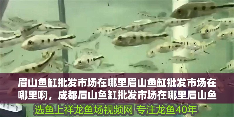 <strong><mark>眉山</mark></strong>魚缸批發市場在哪里<strong><mark>眉山</mark></strong>魚缸批發市場在哪里啊，成都<strong><mark>眉山</mark></strong>魚缸批發市場在哪里<strong><mark>眉山</mark></strong>魚缸批發市場在哪里