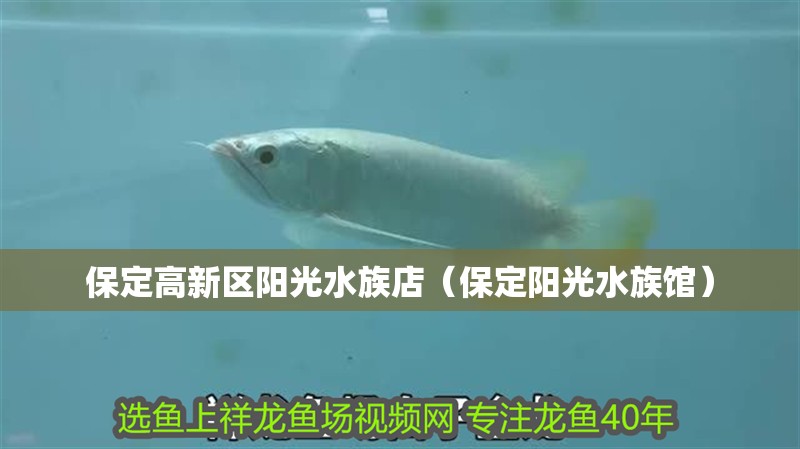 保定高新區陽光水族店（保定陽光水族館）
