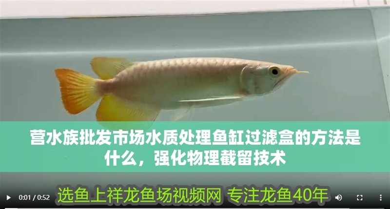 營水族批發市場水質處理魚缸過濾盒的方法是什么，強化物理截留技術