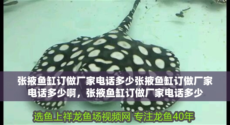 張掖魚缸訂做廠家電話多少張掖魚缸訂做廠家電話多少啊，張掖魚缸訂做廠家電話多少 張掖魚缸訂做廠家電話多少張掖魚缸訂做廠家電話多少啊，張掖魚缸訂做廠家電話多少 觀賞魚百科 第2張