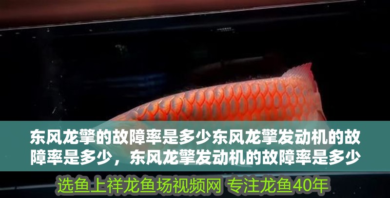 東風(fēng)龍擎的故障率是多少東風(fēng)龍擎發(fā)動(dòng)機(jī)的故障率是多少，東風(fēng)龍擎發(fā)動(dòng)機(jī)的故障率是多少東風(fēng)龍擎發(fā)動(dòng)機(jī)故障率是多少