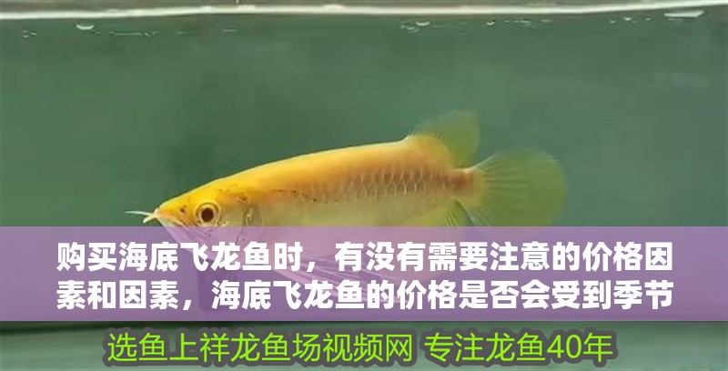 購買海底飛龍魚時，有沒有需要注意的價格因素和因素，海底飛龍魚的價格是否會受到季節和供應量的影響？