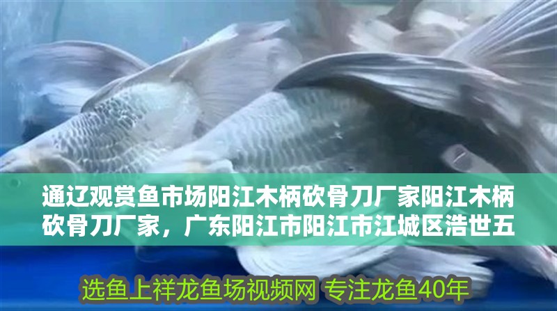 通遼觀賞魚市場陽江木柄砍骨刀廠家陽江木柄砍骨刀廠家，廣東陽江市陽江市江城區(qū)浩世五金制品