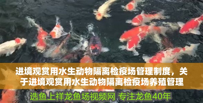 進境觀賞用水生動物隔離檢疫場管理制度，關于進境觀賞用水生動物隔離檢疫場養殖管理