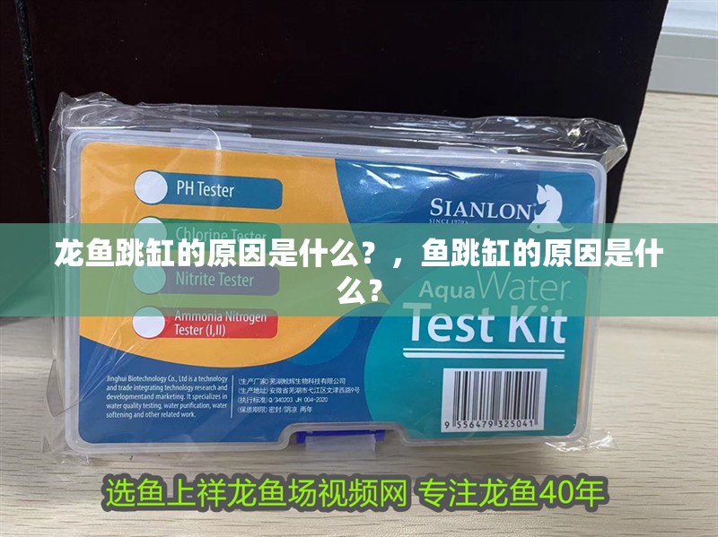 龍魚跳缸的原因是什么？，魚跳缸的原因是什么？