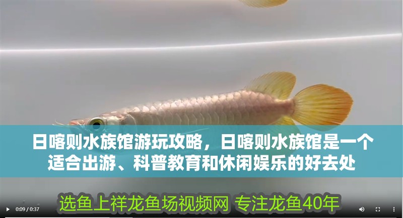 日喀則水族館游玩攻略，日喀則水族館是一個(gè)適合出游、科普教育和休閑娛樂的好去處