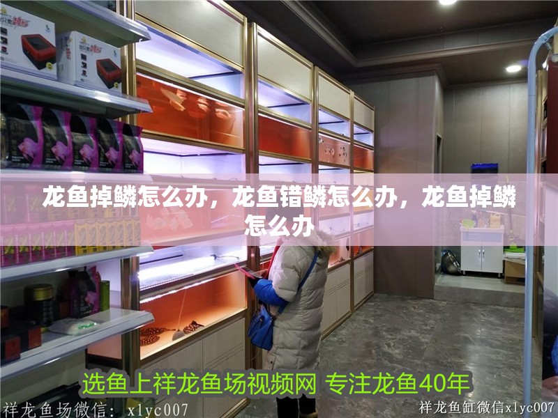 龍魚掉鱗怎么辦，龍魚錯鱗怎么辦，龍魚掉鱗怎么辦