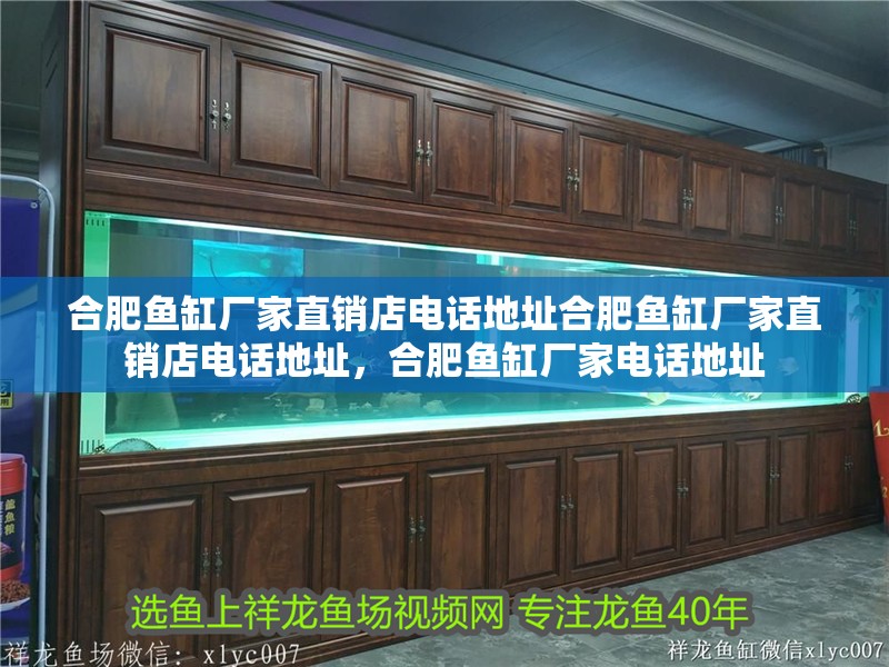 合肥魚缸廠家直銷店電話地址合肥魚缸廠家直銷店電話地址，合肥魚缸廠家電話地址