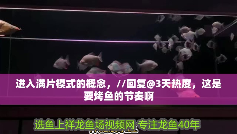 進入滿片模式的概念，//回復@3天熱度，這是要烤魚的節奏啊