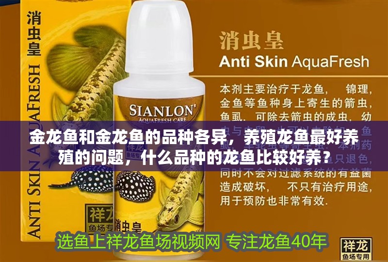 金龍魚和金龍魚的品種各異，養(yǎng)殖龍魚最好養(yǎng)殖的問題，什么品種的龍魚比較好養(yǎng)？