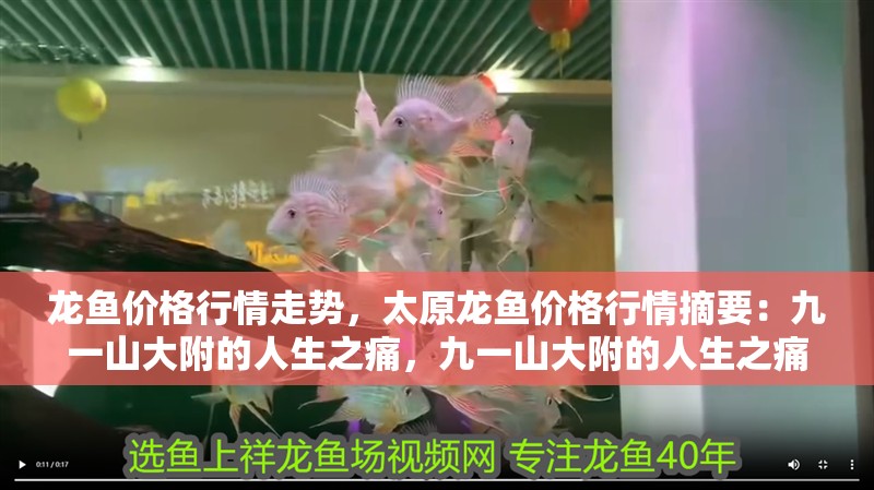龍魚價格行情走勢，太原龍魚價格行情摘要：九一山大附的人生之痛，九一山大附的人生之痛