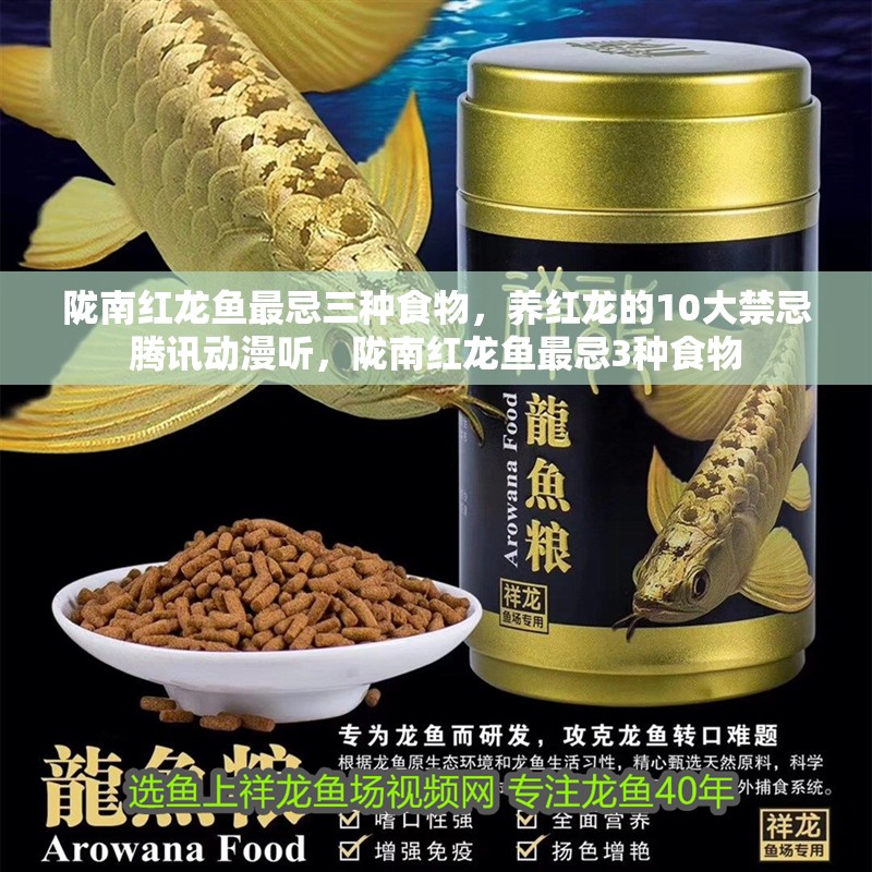 隴南紅龍魚最忌三種食物，養紅龍的10大禁忌騰訊動漫聽，隴南紅龍魚最忌3種食物