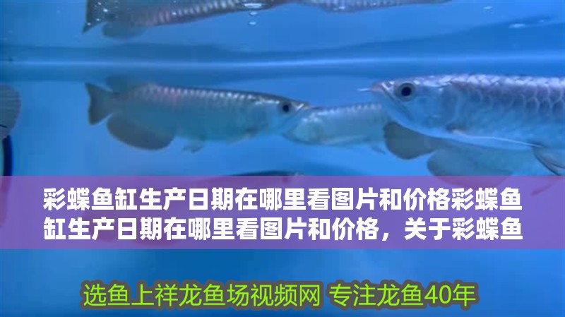 彩蝶魚缸生產日期在哪里看圖片和價格彩蝶魚缸生產日期在哪里看圖片和價格，關于彩蝶魚缸生產日期在哪里看圖片和價格