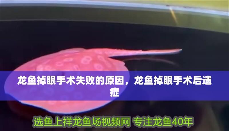 龍魚掉眼手術失敗的原因，龍魚掉眼手術后遺癥