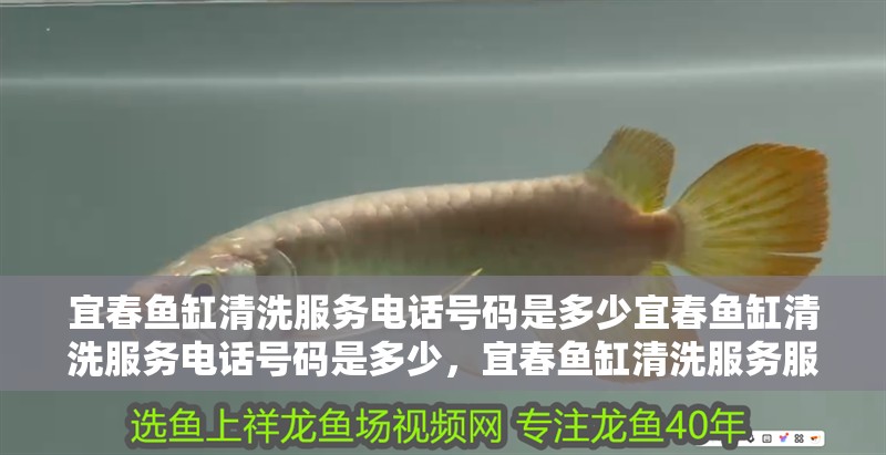 宜春魚缸清洗服務(wù)電話號(hào)碼是多少宜春魚缸清洗服務(wù)電話號(hào)碼是多少，宜春魚缸清洗服務(wù)服務(wù)電話號(hào)碼是多少啊