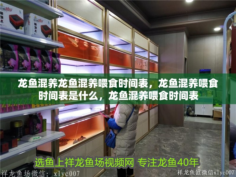 龍魚混養(yǎng)龍魚混養(yǎng)喂食時(shí)間表，龍魚混養(yǎng)喂食時(shí)間表是什么，龍魚混養(yǎng)喂食時(shí)間表