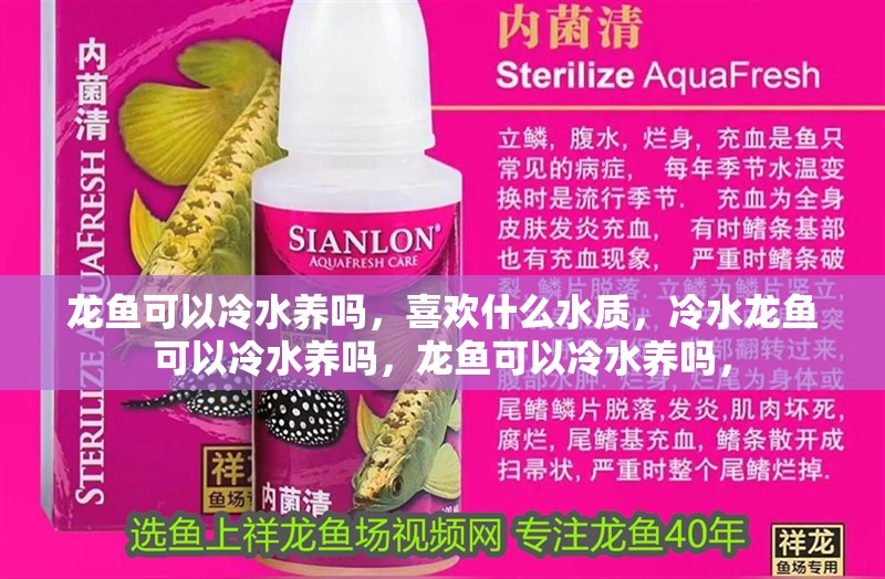 龍魚可以冷水養嗎，喜歡什么水質，冷水龍魚可以冷水養嗎，龍魚可以冷水養嗎，