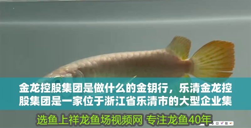 金龍控股集團是做什么的金鑰行，樂清金龍控股集團是一家位于浙江省樂清市的大型企業集團 金龍控股集團是做什么的金鑰行，樂清金龍控股集團是一家位于浙江省樂清市的大型企業集團 觀賞魚百科 第3張
