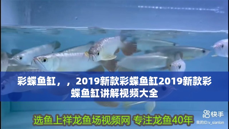 彩蝶魚缸，，2019新款彩蝶魚缸2019新款彩蝶魚缸講解視頻大全