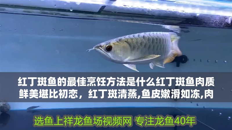 紅丁斑魚的最佳烹飪方法是什么紅丁斑魚肉質鮮美堪比初戀，紅丁斑清蒸,魚皮嫩滑如凍,肉質鮮美堪比初戀!