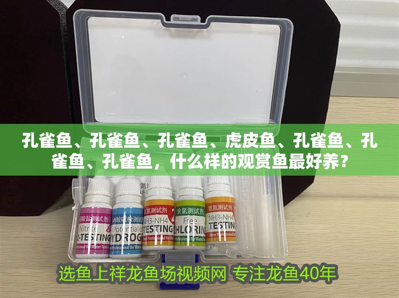 孔雀魚、孔雀魚、孔雀魚、虎皮魚、孔雀魚、孔雀魚、孔雀魚，什么樣的觀賞魚最好養(yǎng)？ 孔雀魚、孔雀魚、孔雀魚、虎皮魚、孔雀魚、孔雀魚、孔雀魚，什么樣的觀賞魚最好養(yǎng)？ 觀賞魚百科 第2張