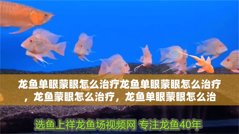 龍魚單眼蒙眼怎么治療龍魚單眼蒙眼怎么治療，龍魚蒙眼怎么治療，龍魚單眼蒙眼怎么治