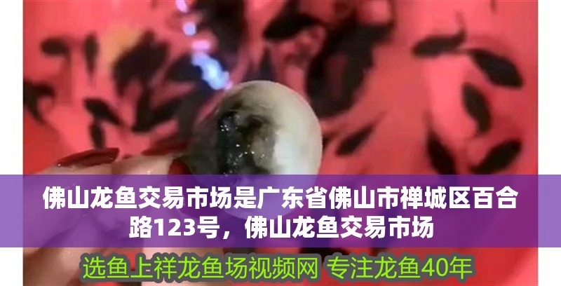 佛山龍魚交易市場是廣東省佛山市禪城區(qū)百合路123號，佛山龍魚交易市場