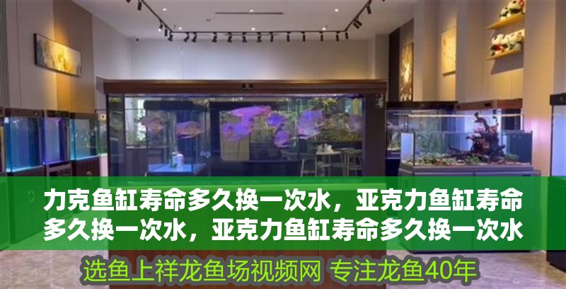 力克魚缸壽命多久換一次水，亞克力魚缸壽命多久換一次水，亞克力魚缸壽命多久換一次水，