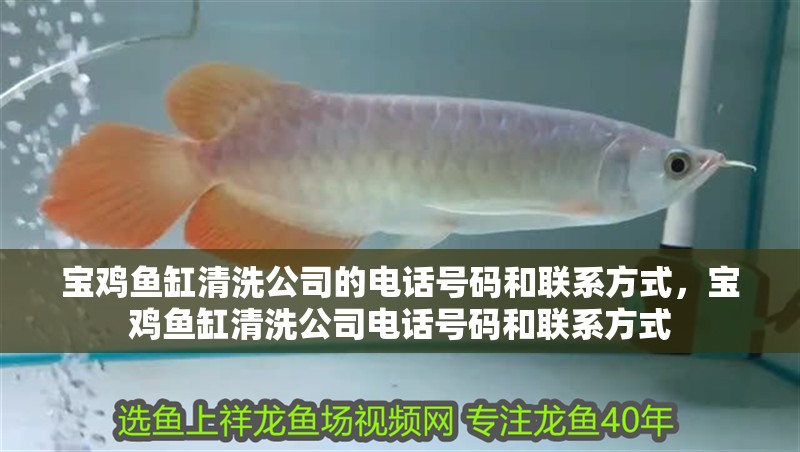 寶雞魚缸清洗公司的電話號(hào)碼和聯(lián)系方式，寶雞魚缸清洗公司電話號(hào)碼和聯(lián)系方式
