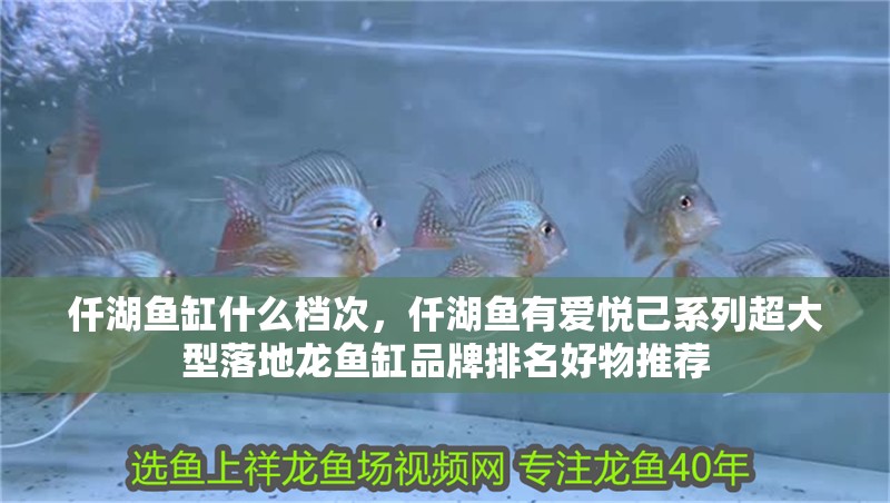 仟湖魚缸什么檔次，仟湖魚有愛悅己系列超大型落地龍魚缸品牌排名好物推薦