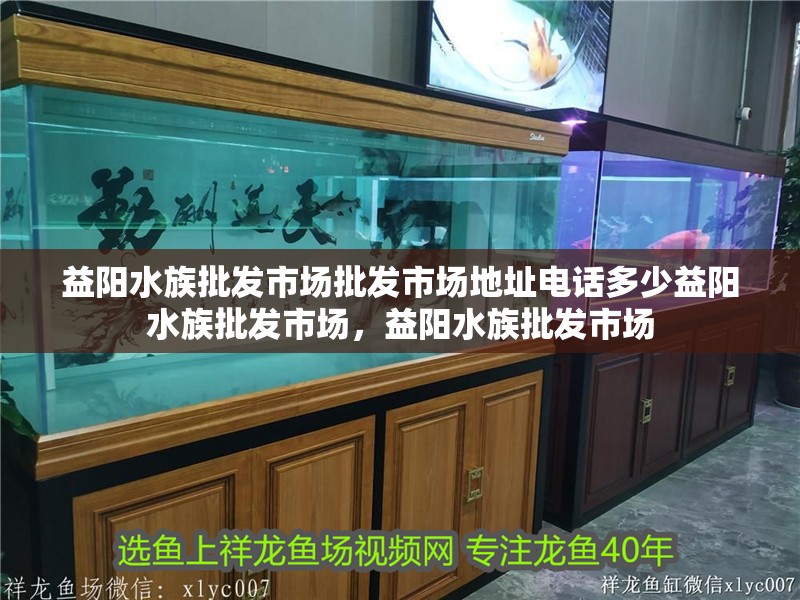 益陽水族批發市場批發市場地址電話多少益陽水族批發市場，益陽水族批發市場