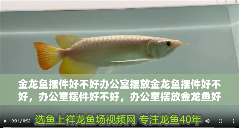 金龍魚擺件好不好辦公室擺放金龍魚擺件好不好，辦公室擺件好不好，辦公室擺放金龍魚好不好