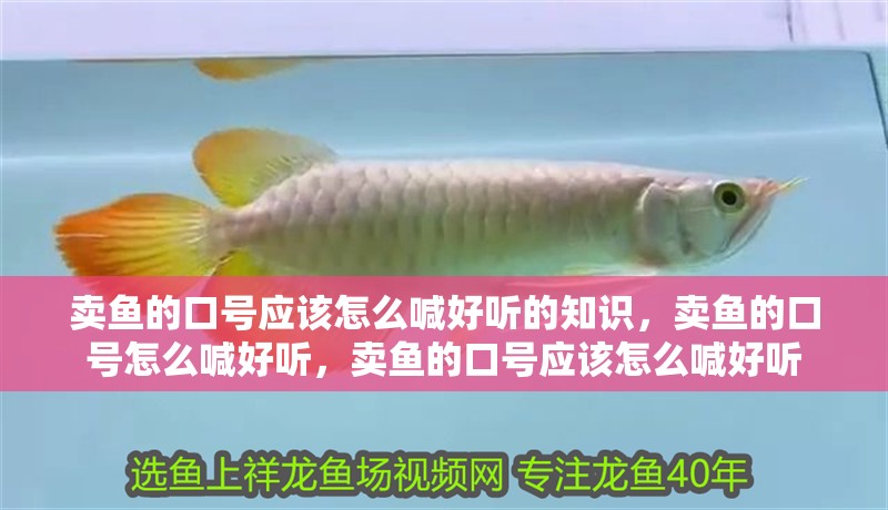 賣魚的口號應(yīng)該怎么喊好聽的知識，賣魚的口號怎么喊好聽，賣魚的口號應(yīng)該怎么喊好聽