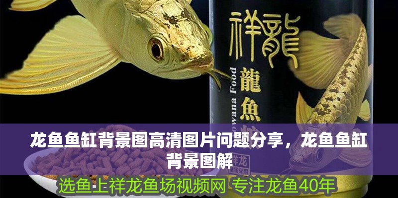 龍魚魚缸背景圖高清圖片問(wèn)題分享，龍魚魚缸背景圖解