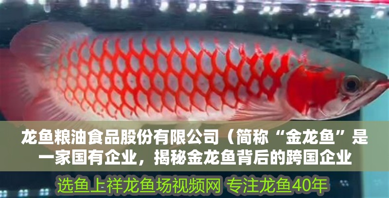 龍魚糧油食品股份有限公司（簡(jiǎn)稱“金龍魚”是一家國(guó)有企業(yè)，揭秘金龍魚背后的跨國(guó)企業(yè)