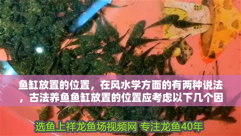 魚缸放置的位置，在風水學方面的有兩種說法，古法養魚魚缸放置的位置應考慮以下幾個因素：魚缸擺放在旺位